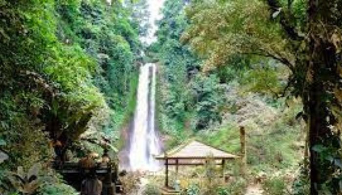 Air Terjun Gitgit merupakan salah satu destinasi wisata yang tak boleh dilewatkan saat berkunjung ke Bedugul, Bali. Terletak sekitar 10 kilometer sebelah utara Singaraja, air terjun ini bisa diakses dengan kendaraan pribadi atau menggunakan jasa tur lokal.