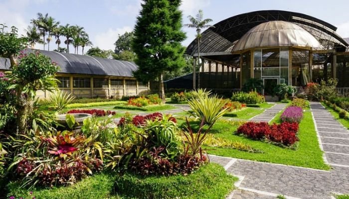 Kebun Raya Bedugul, terletak di dataran tinggi Bali, merupakan salah satu tempat wisata yang ramai dikunjungi oleh wisatawan lokal maupun mancanegara.