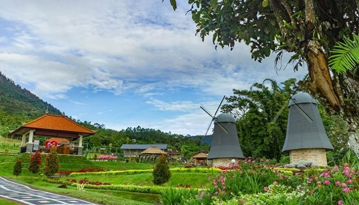 Blooms Garden Bedugul merupakan taman bunga terbesar di Bali, yang menawarkan keindahan alam yang tiada duanya. Terletak di area pegunungan